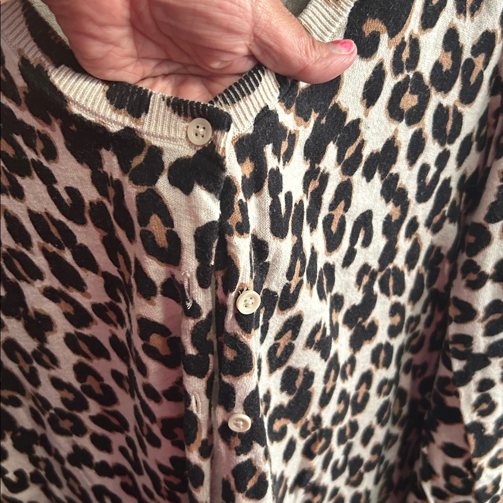 Cardigan - Picture 3 of 3